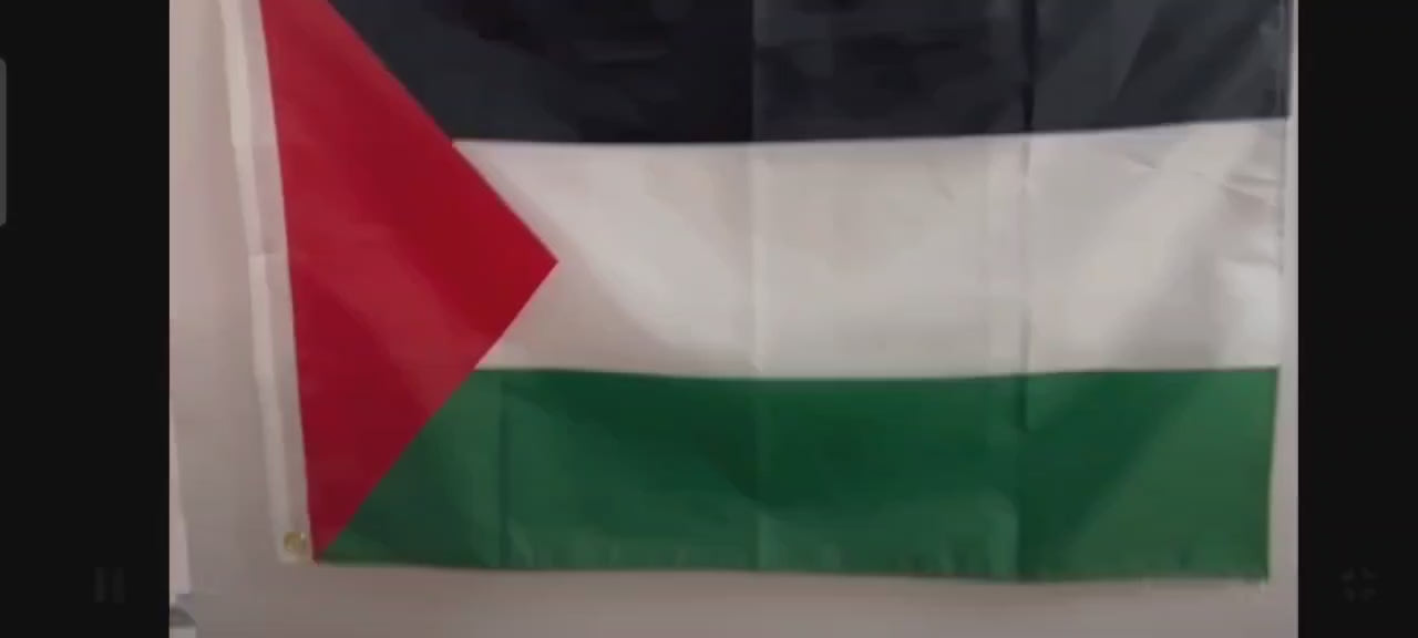 3pcs Large Palestine Flag (150*90cm) - Free Gaza Sydney